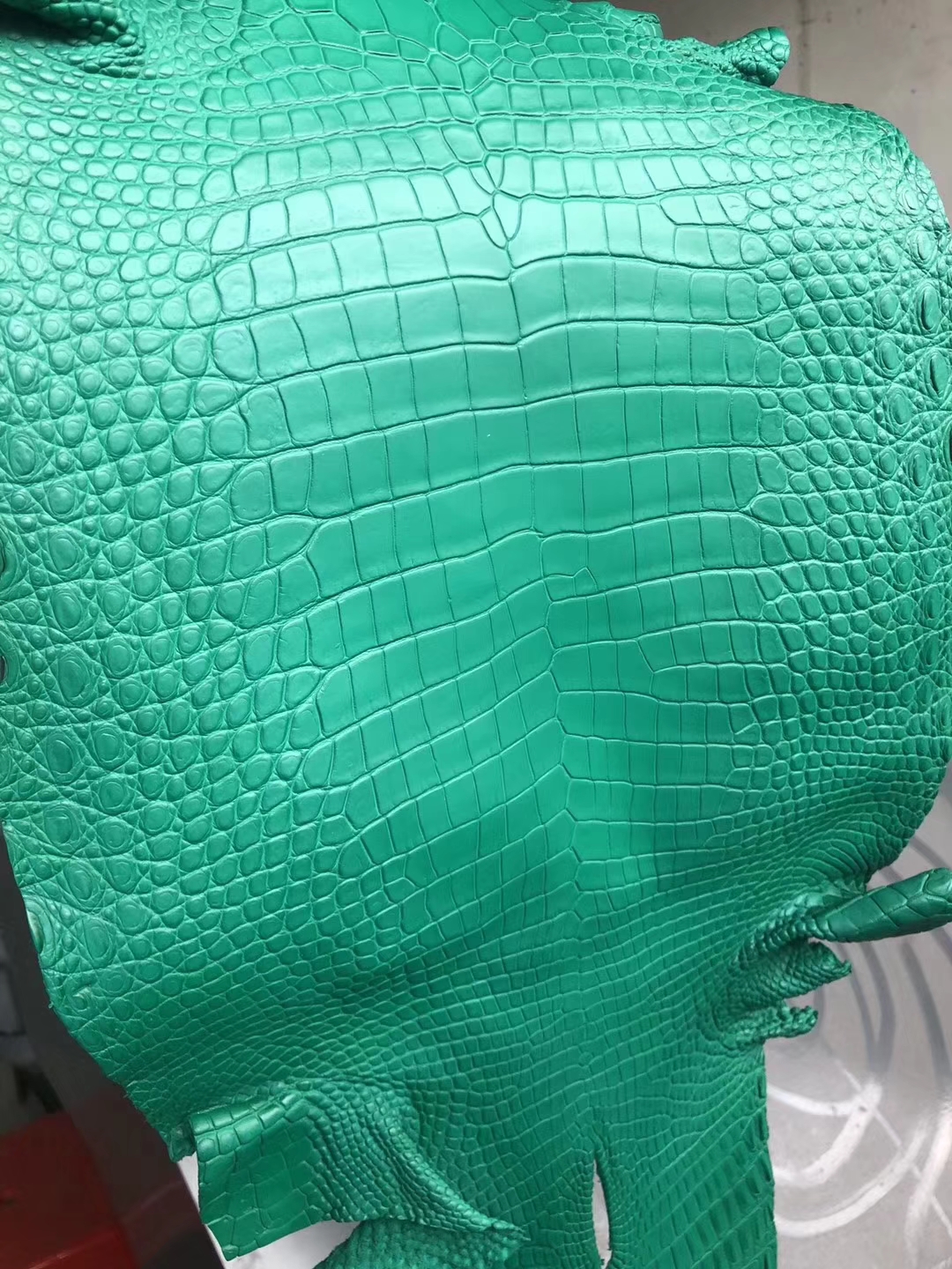 Noble Hermes Emerald Green Matt Crocodile Leather Can Order Kelly/Birkin25CM