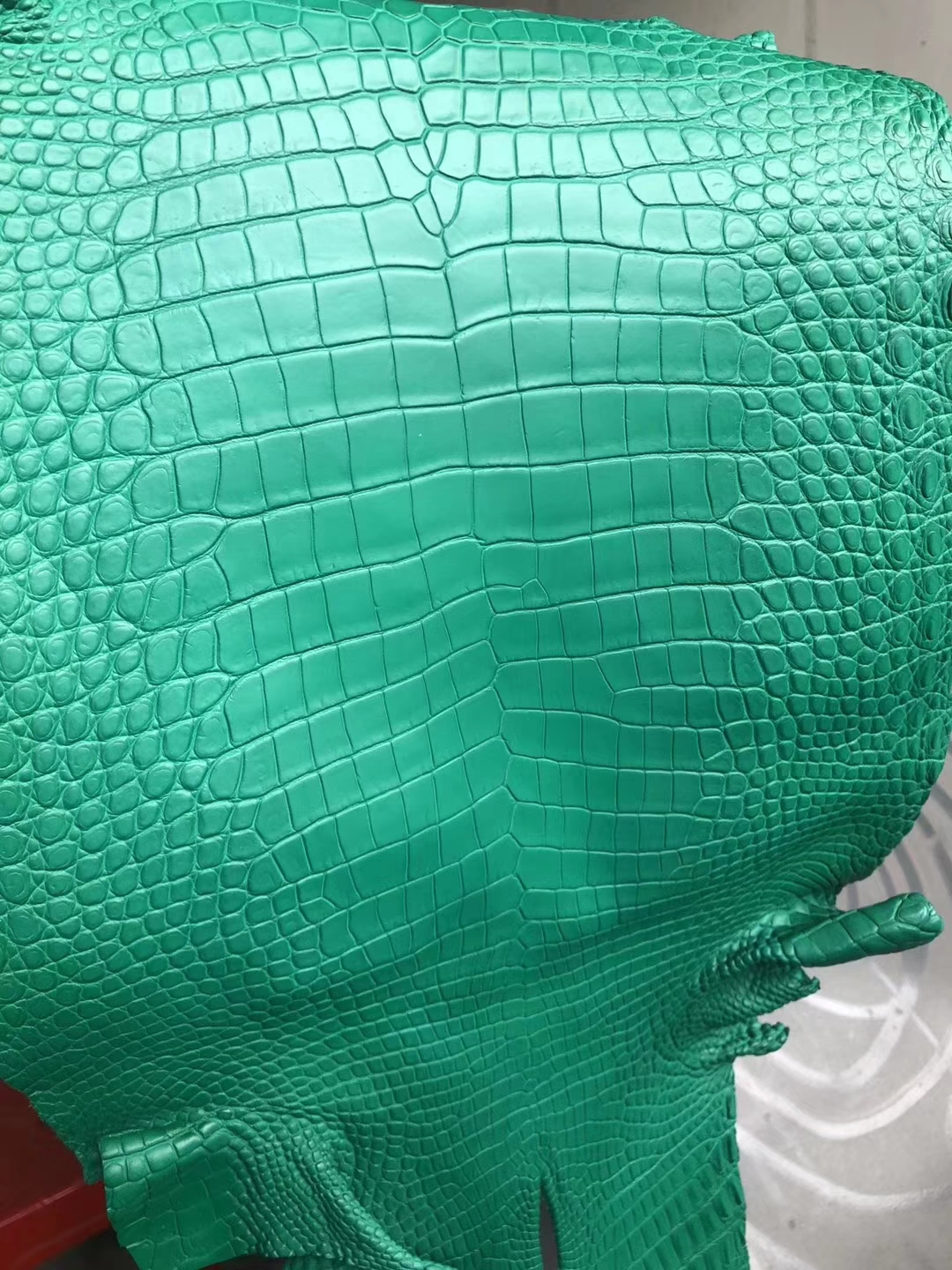 Noble Hermes Emerald Green Matt Crocodile Leather Can Order Kelly/Birkin25CM