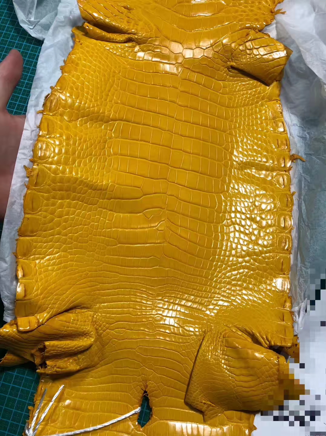 New Arrival Hermes Alligator Shiny Crocodile Leather in 9D Ambre Yellow