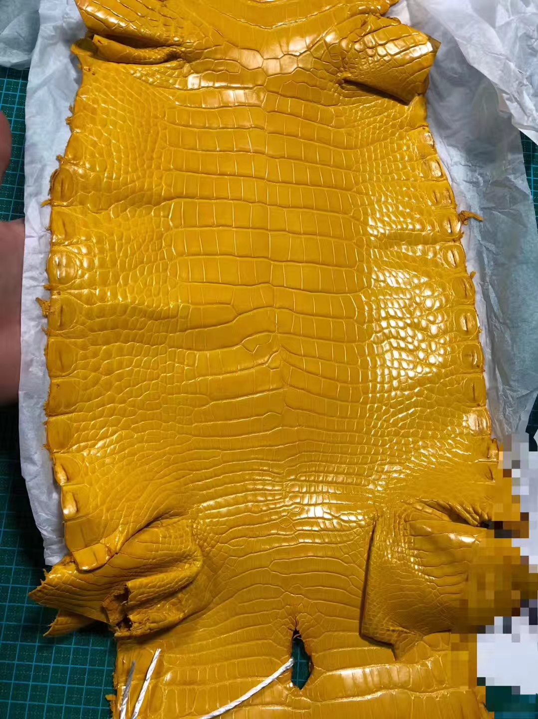 New Arrival Hermes Alligator Shiny Crocodile Leather in 9D Ambre Yellow