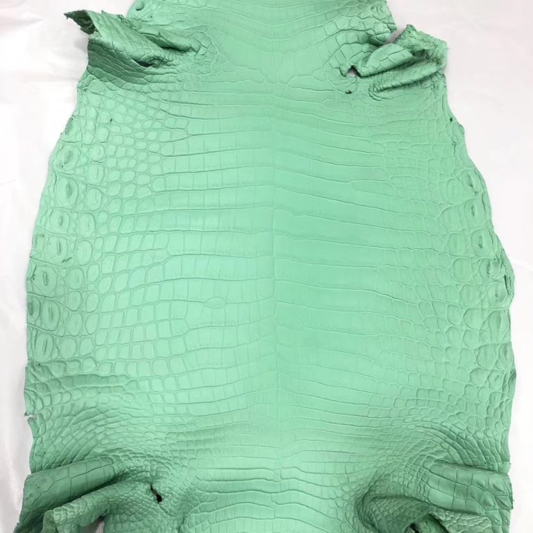 Hermes Bags Order 6U Mint Green Crocodile Matt Leather Can Order Birkin 25CM