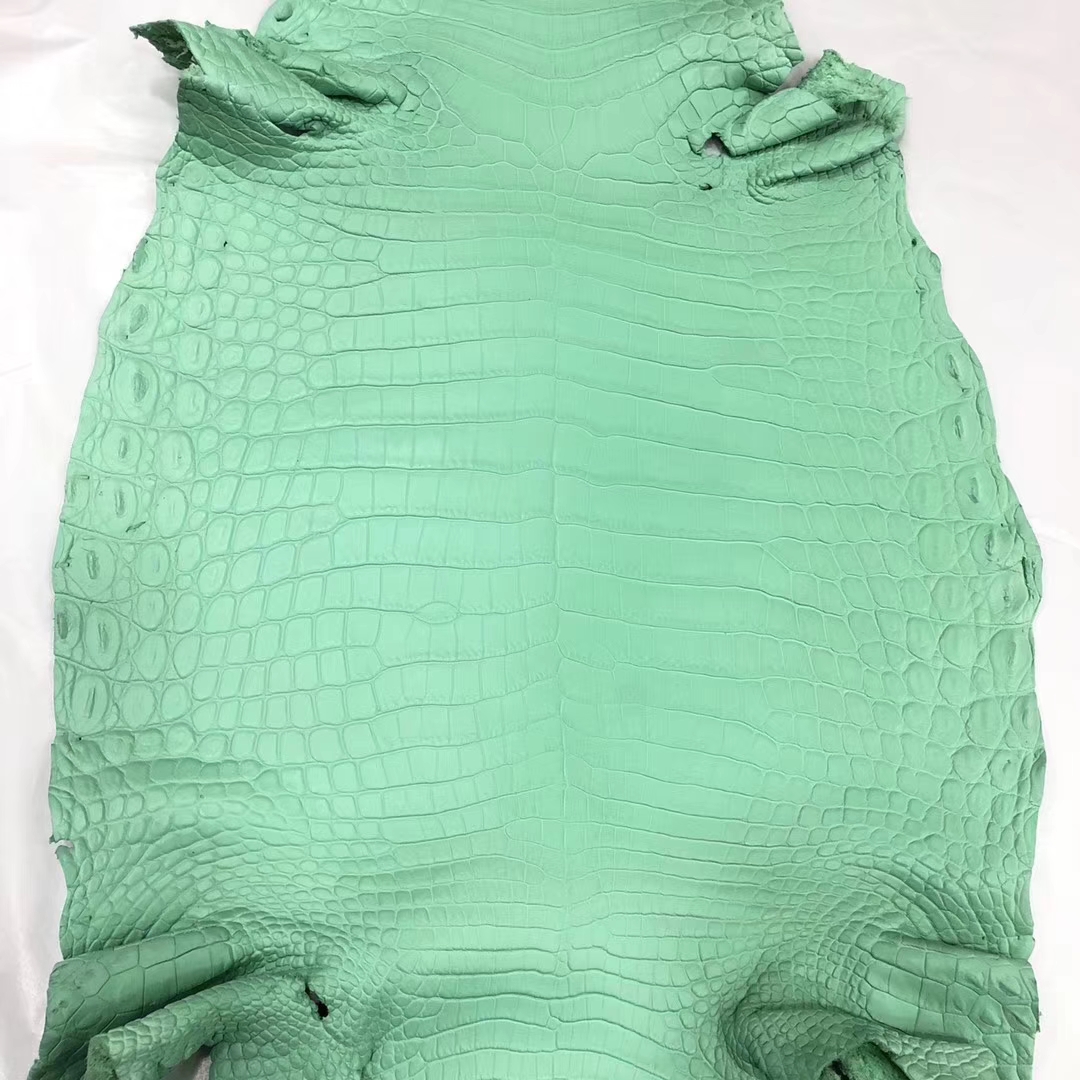 Hermes Bags Order 6U Mint Green Crocodile Matt Leather Can Order Birkin25CM