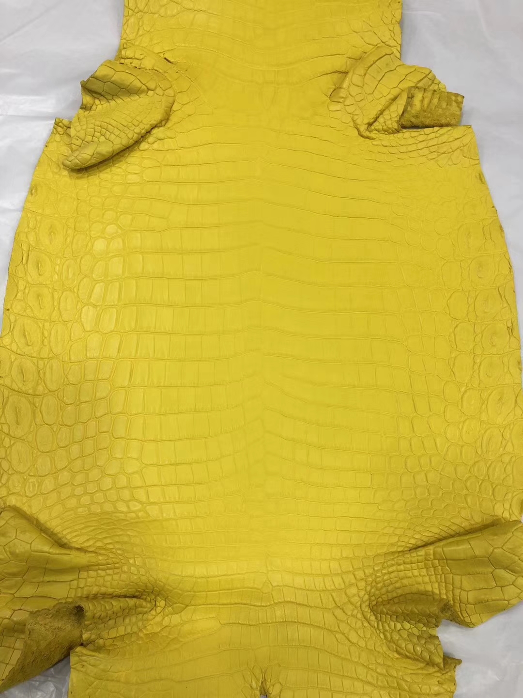 Hermes Kelly/Birkin Bag Order 9R Lemon Yellow Crocodile Matt Leather