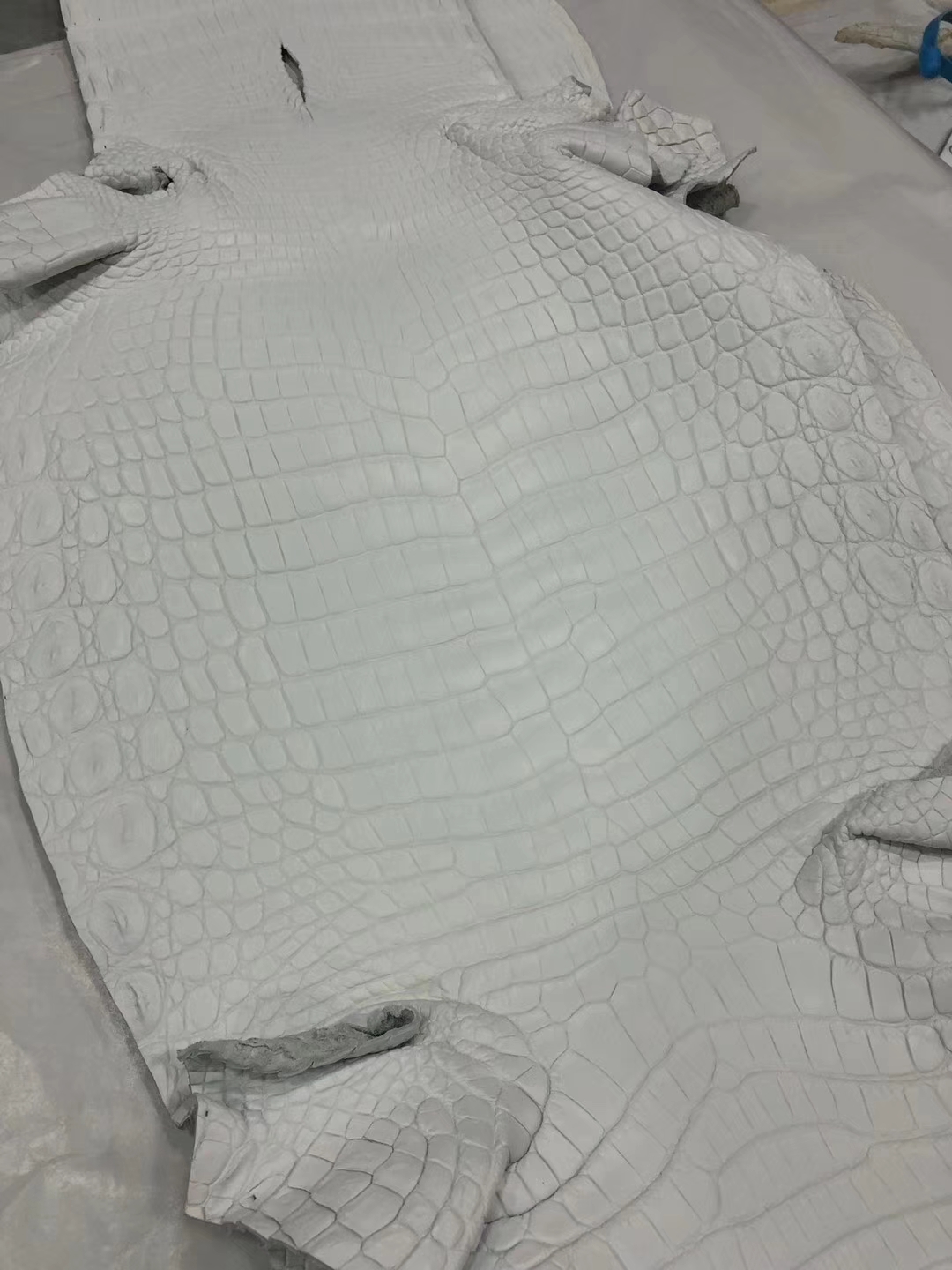Hermes Bags Order New Arrival Hermes Crocodile Matt Leather in Pure White