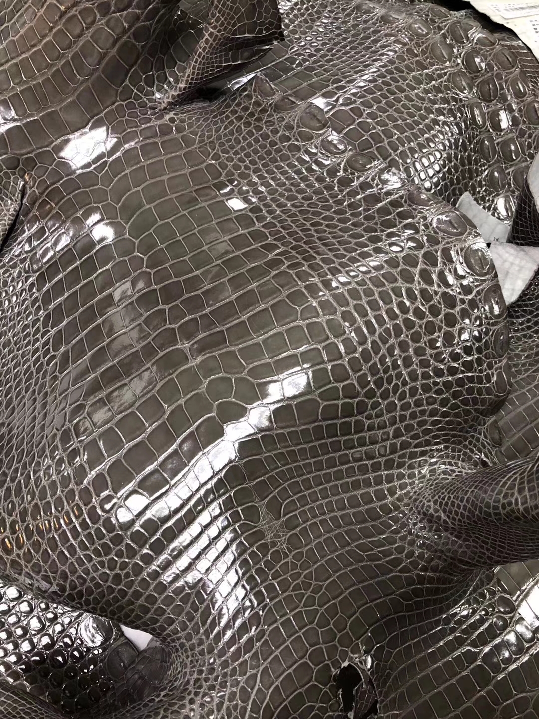 Hermes Kelly/Birkin Bags Order C81 Gris Tourterelle Alligator Shiny Crocodile Leather