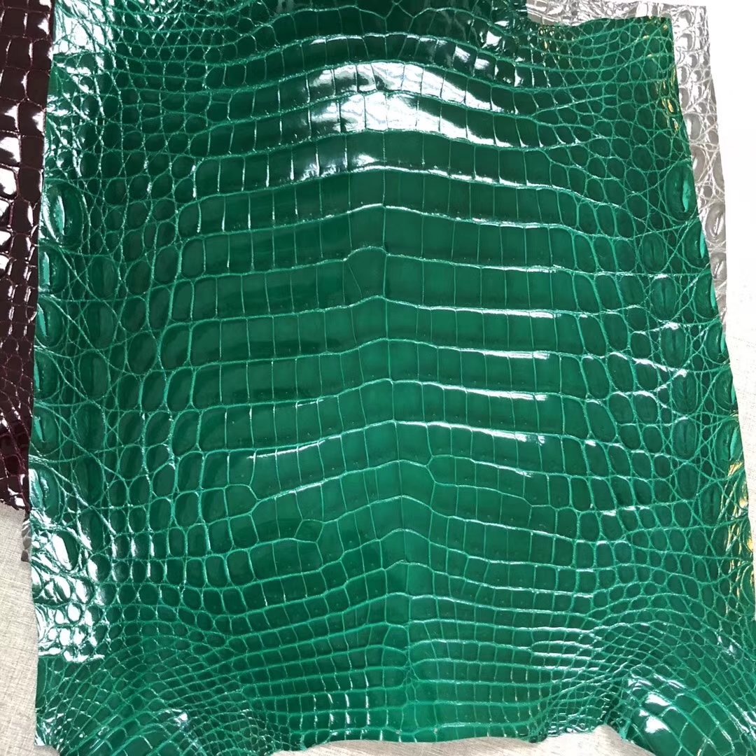 Sale Hermes Multicolor Shiny Crocodile Leather Can Order Kelly25CM/Birkin25CM