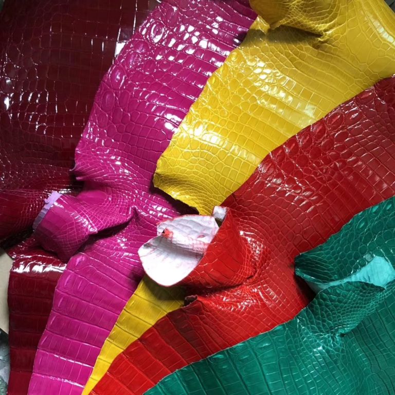 Hermes Multicolor Shiny Crocodile Leather Can Order Kelly/Birkin Bags