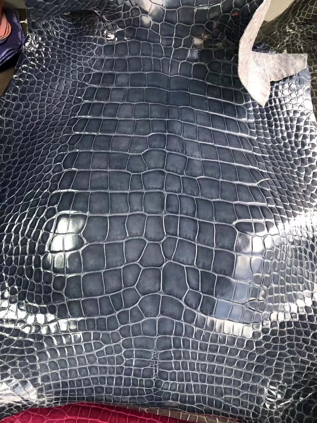 Hermes Kelly25/Birkin25CM Handbags Order Shiny Alligator Crocodile Leather Multicolor