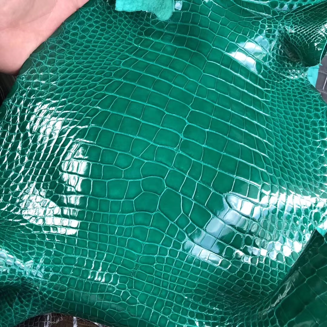 Hermes Kelly25/Birkin25CM Handbags Order Shiny Alligator Crocodile Leather Multicolor