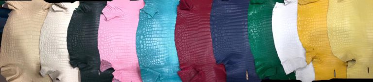 Hermes Multicolor Matt Crocodile Leather Can Order Lindy/Birkin Bag