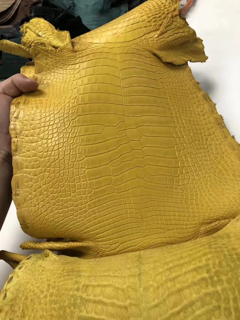 Hermes 9D Ambre Yellow Matt Alligator Crocodile Leather Minikelly-2 Customization