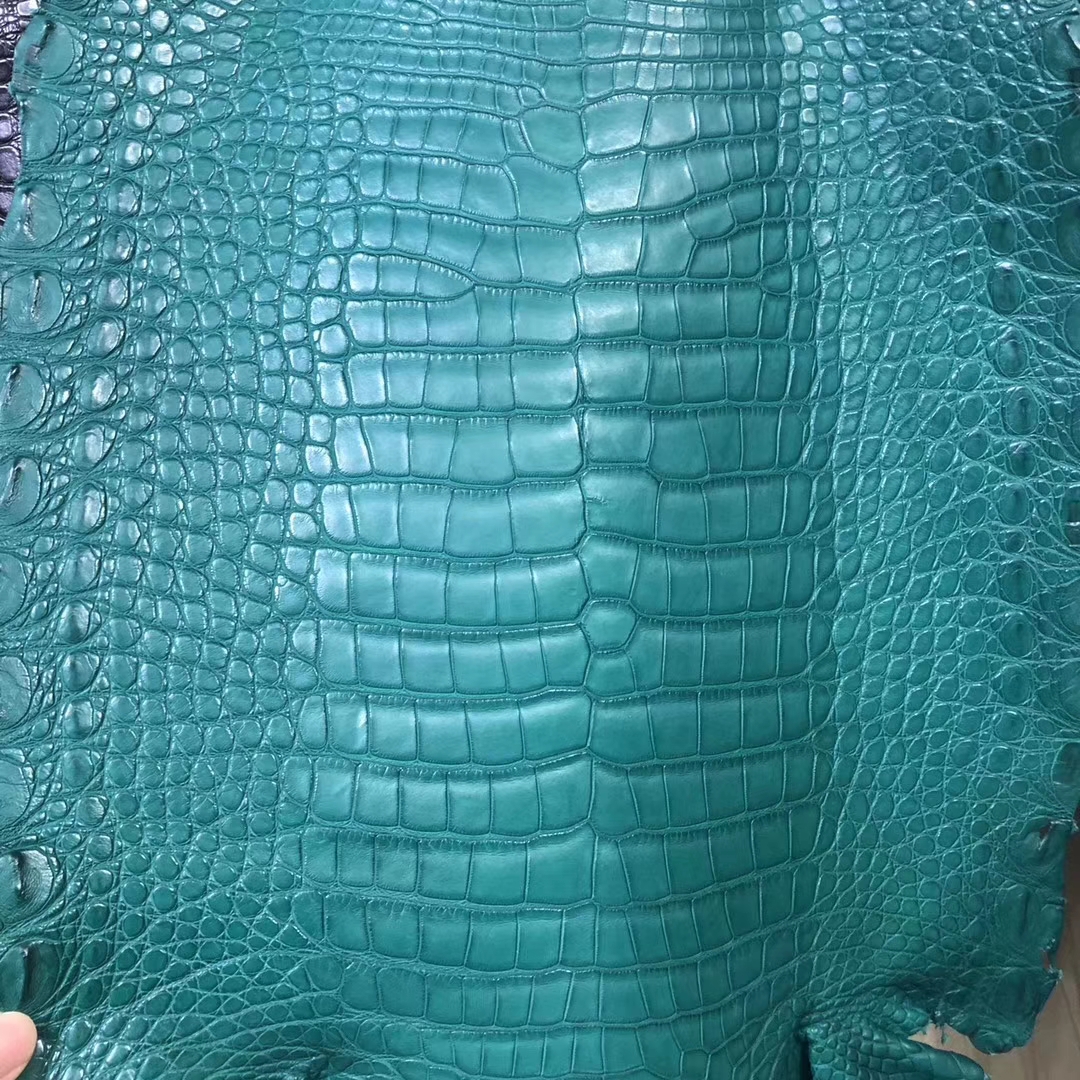 New Arrival Hermes Multi-color Alligator Matt Crocodile Leather Can Order Birkin30CM/Kelly28CM