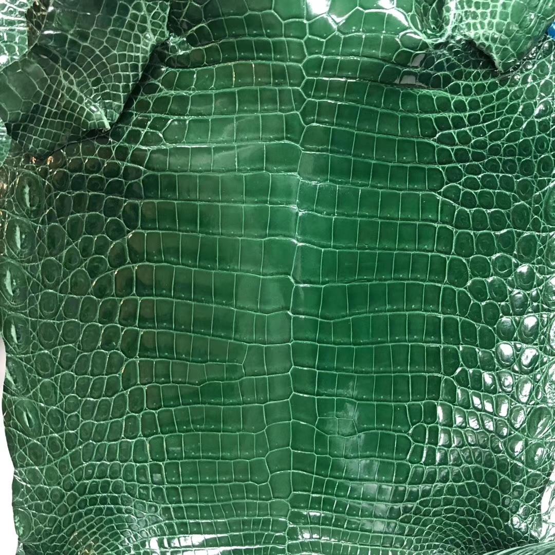 New Arrival Hermes Multi-color Shiny Nilo Crocodile Leather Can Order Kelly25/Birkin25CM