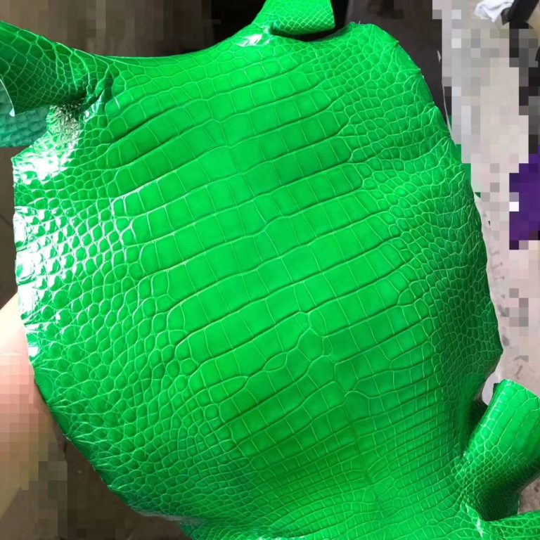 Hermes Birkin Bags 1L Vert Cacti Shiny Alligator Crocodile Leather