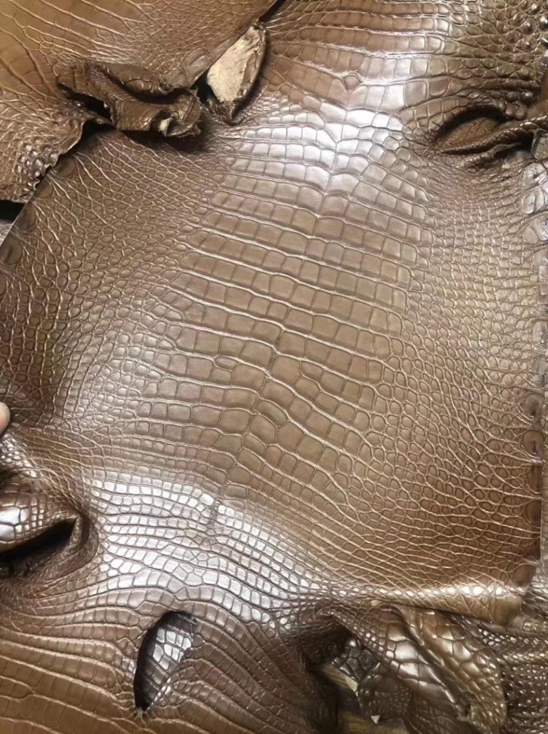 Hermes Minikelly Bag Coffee Color Alligator Matt Crocodile Leather