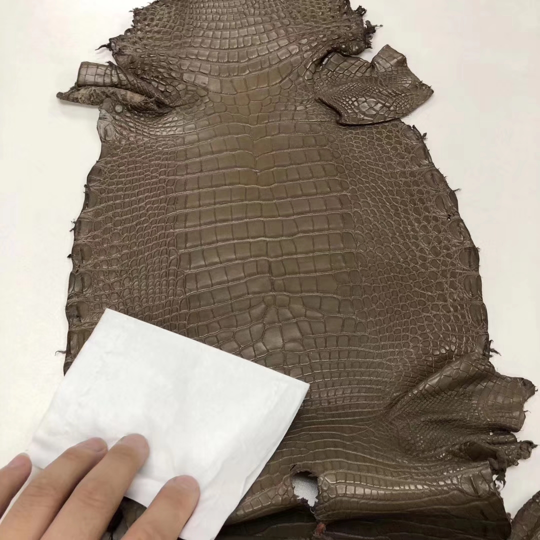 Hermes M1 Oregano Alligator Matt Crocodile Leather Can Order Minikelly Bag