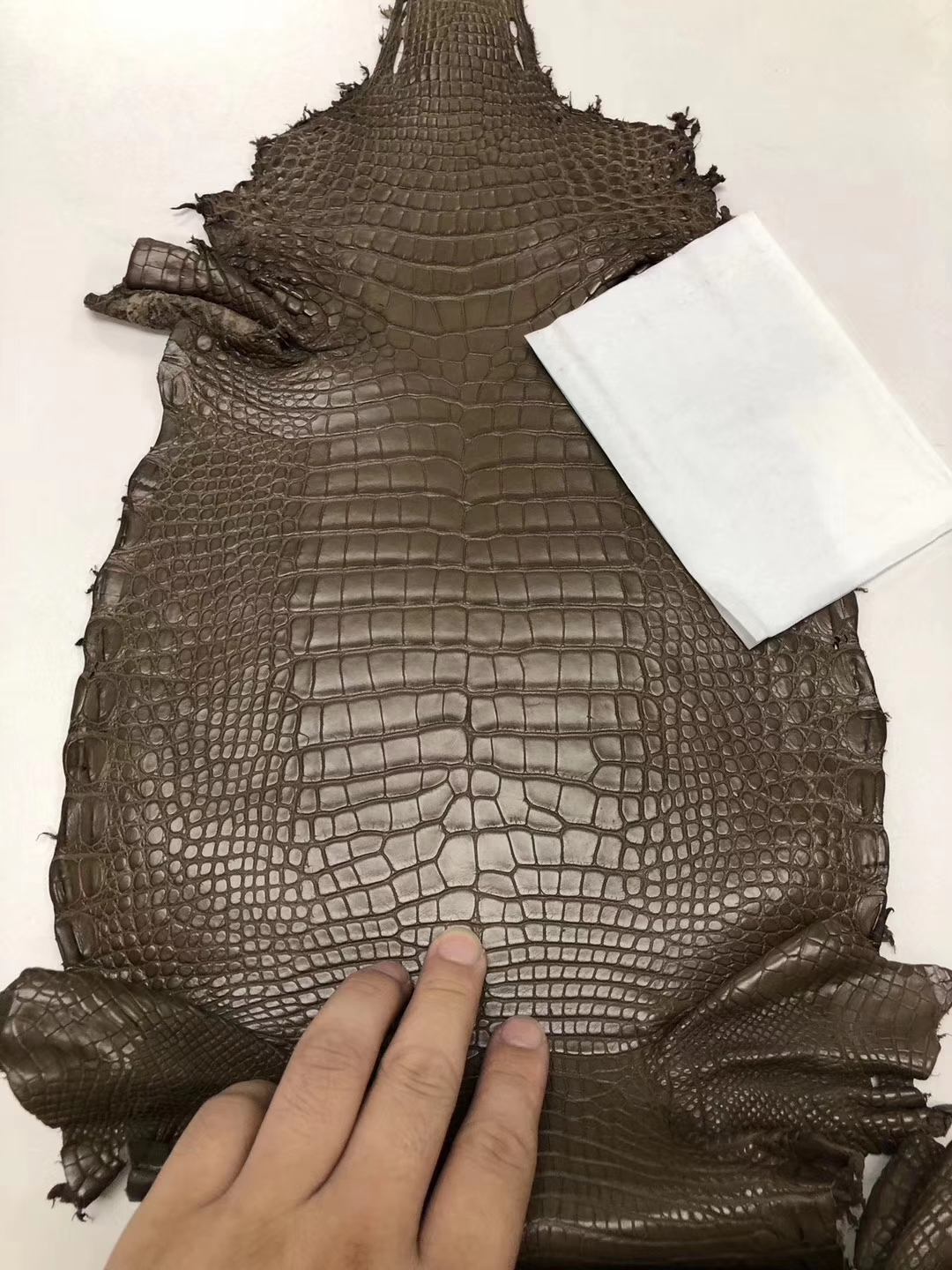 Hermes M1 Oregano Alligator Matt Crocodile Leather Can Order Minikelly Bag