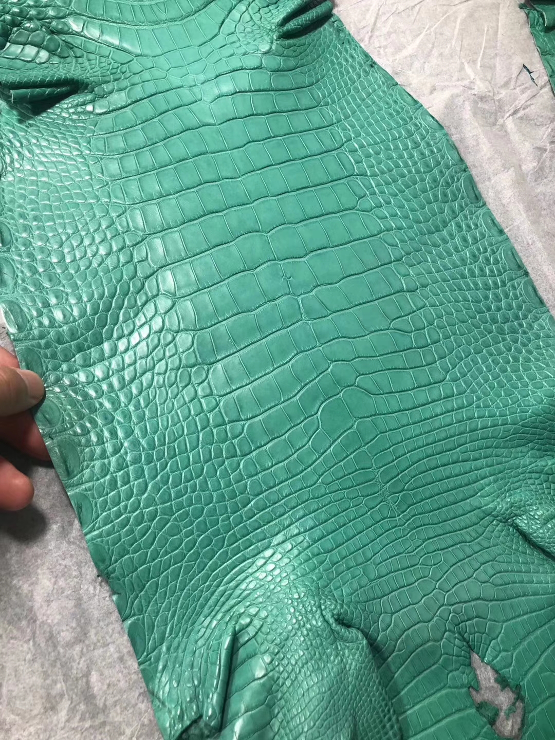 New Hermes Mint Green Alligator Matt Crocodile Leather Minikelly Clutch Bag Customization