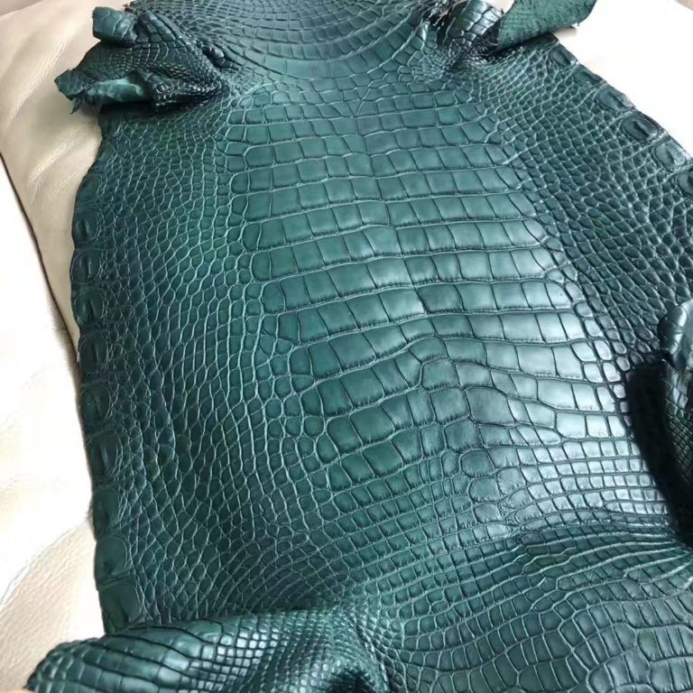 Hermes 1L Vert Cacti Alligator Matt Crocodile Leather Minikelly Bag Customize