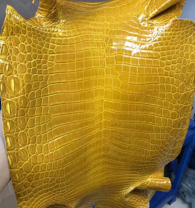 Hermes Birkin/Kelly Bags 9D Amber Shiny Nilo Crocodile Leather