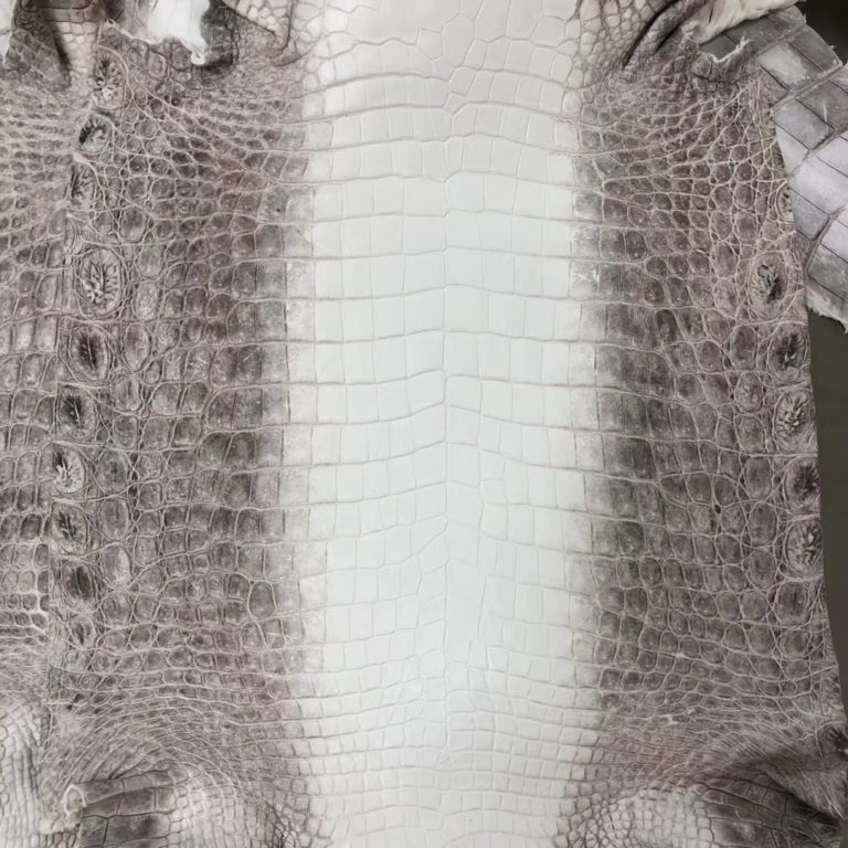 Hermes Birkin 25cm Himalaya Crocodile Leather