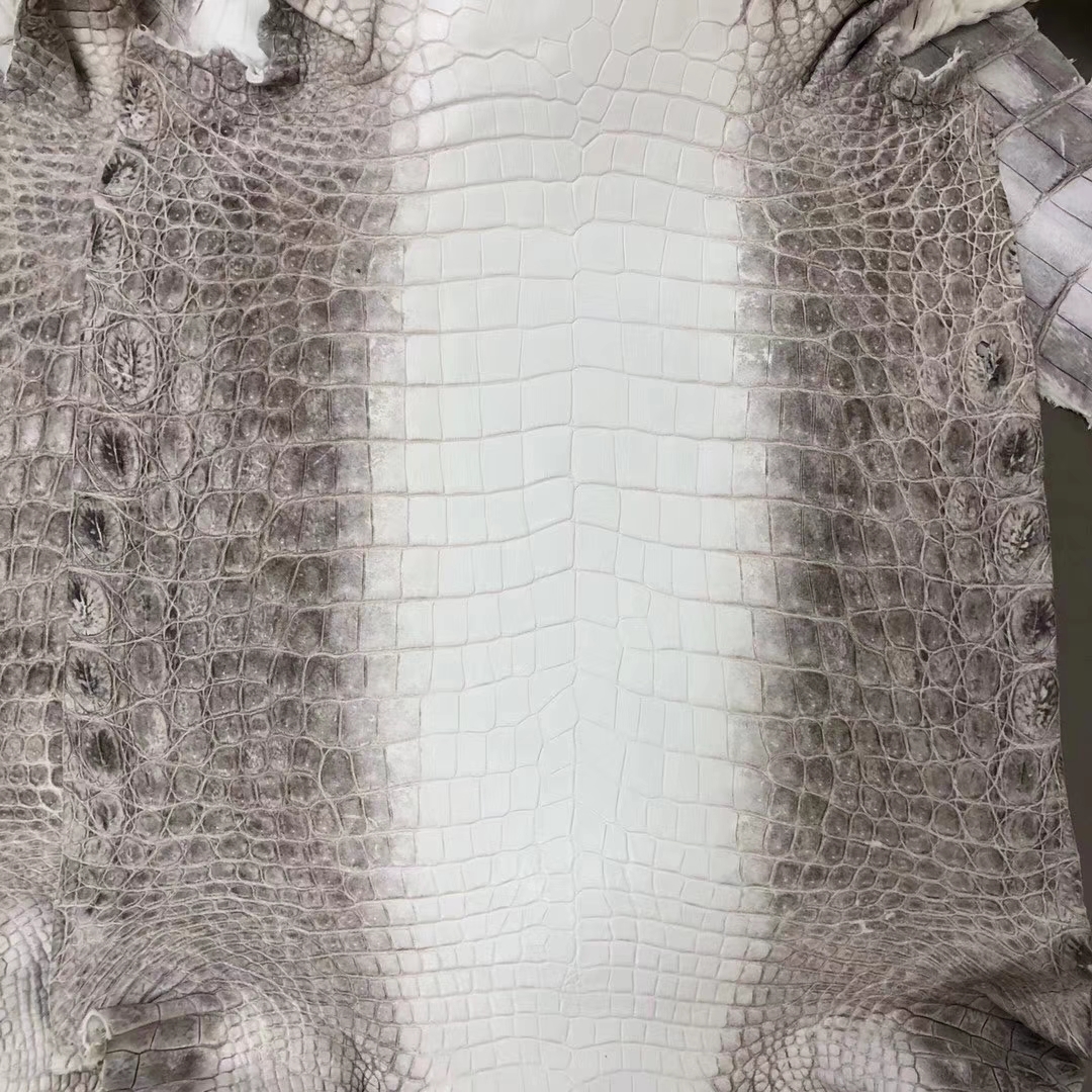 Hermes Birkin25cm Customize New Arrival Himalaya Crocodile Leather