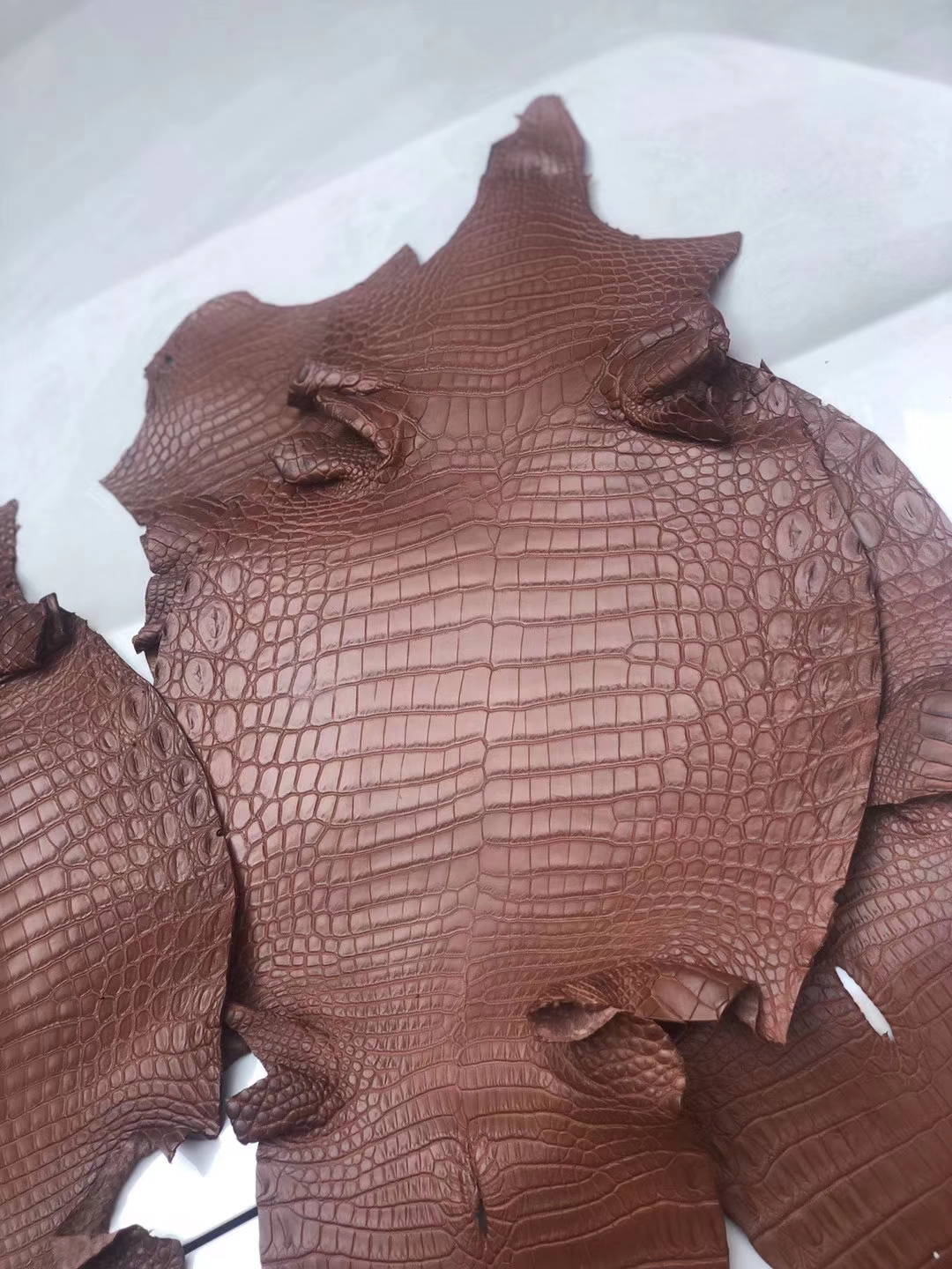 Customize Hermes Birkin/Kelly Bag New Arrival Gold Matt Crocodile Leather