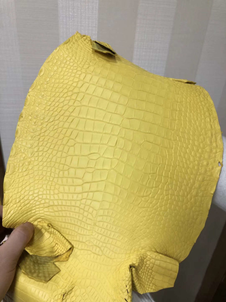 Hermes Bags M9 Yellow Matt Crocodile Leather