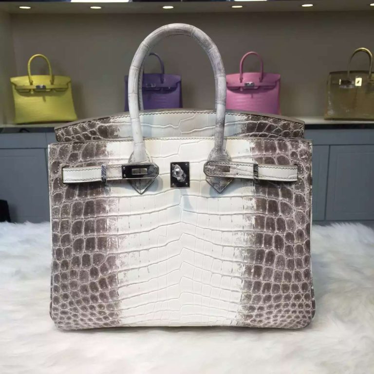 Hermes Himalaya Crocodile Skin Birkin Bag  25CM Womens Tote Bag