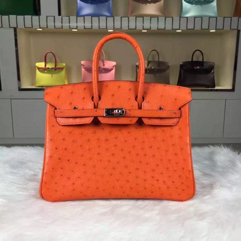 High Quality Hermes Orange HCP Original Ostrich Leather Birkin Bag  25cm Silver Hardware