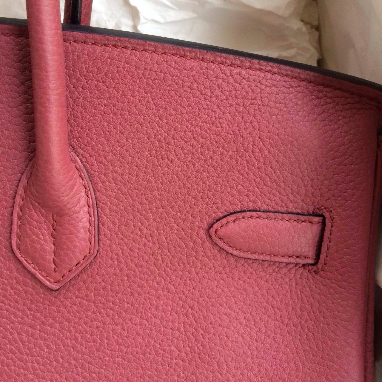 Hermes Birkin Handbags Togo Leather Gold Hardware