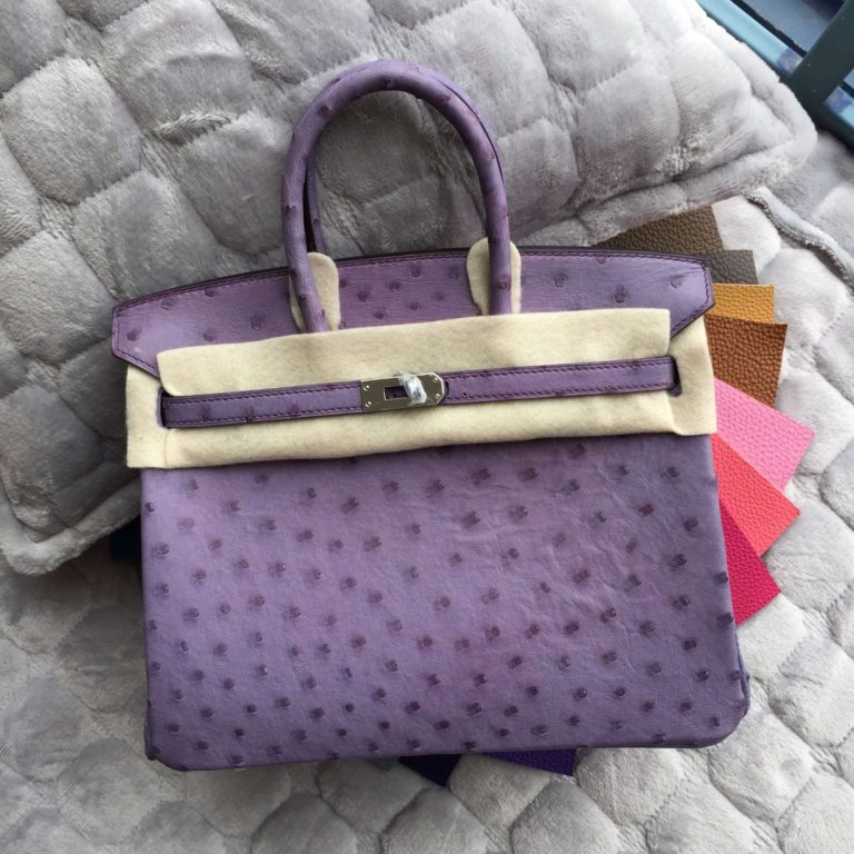 25CM Hermes Birkin Bag in Light Purple Ostrich Leather Silver Hardware