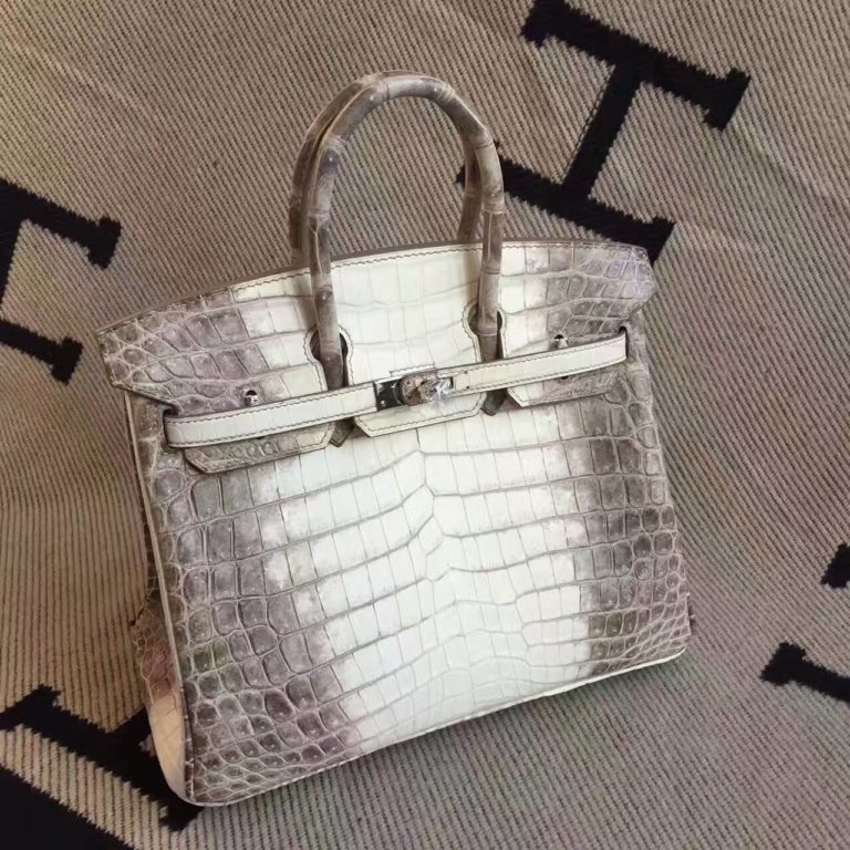 Hermes Himalaya Crocodile Leather Birkin Bag  25cm Womens Handbag