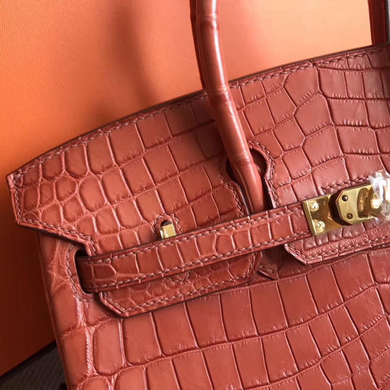 Discount Hermes Crocodile Matt Leather Birkin Bag25cm in Salmon Red Gold Hardware