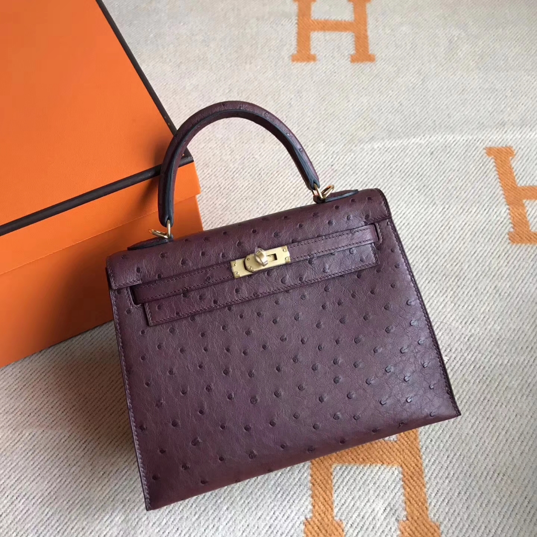 Luxury Hermes Ostrich Leather Kelly25cm Bag in CK55 Rouge Hermes