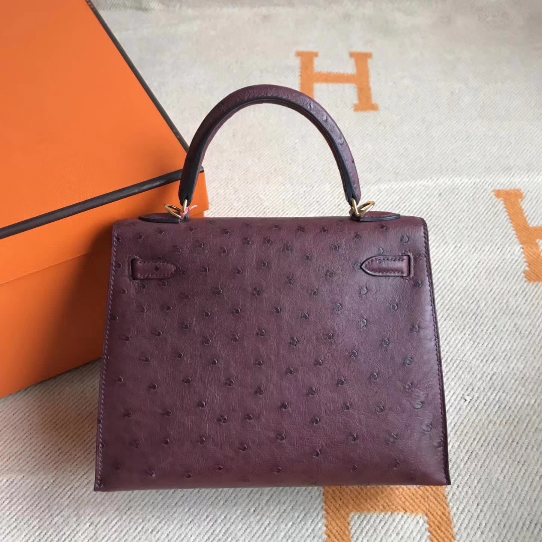 Luxury Hermes Ostrich Leather Kelly25cm Bag in CK55 Rouge Hermes