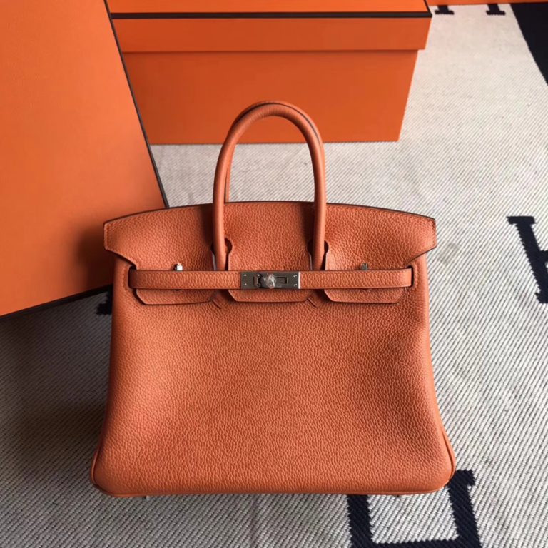 Hermes Togo Calfskin Birkin 25cm Bag in 93 Orange Silver Hardware