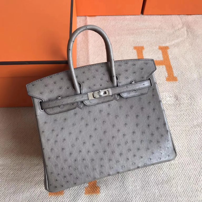 Hermes Ostrich Leather Birkin Bag 25cm in Mousse Grey Silver Hardware