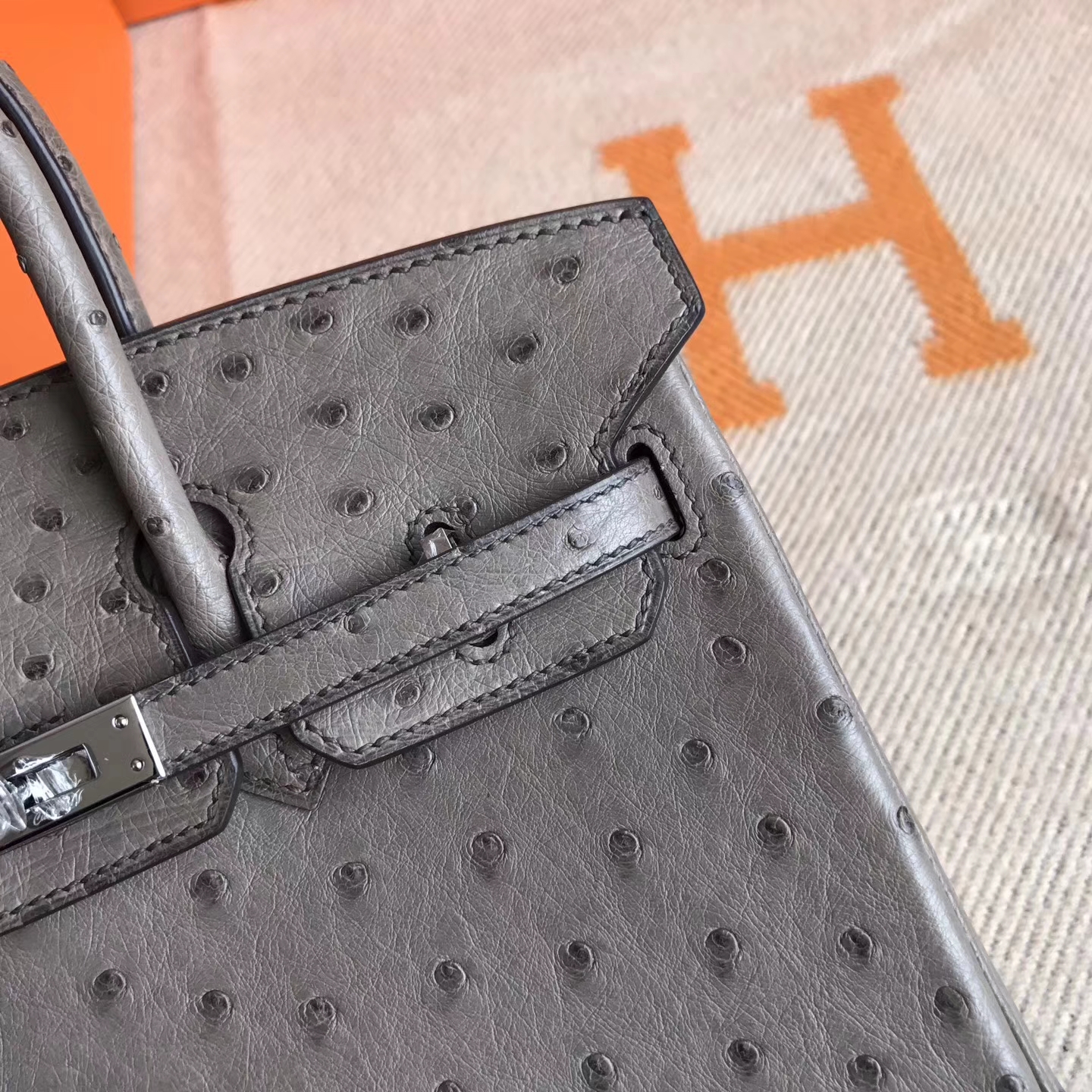 Discount Hermes Ostrich Leather Birkin Bag25cm in Mousse Grey Silver Hardware