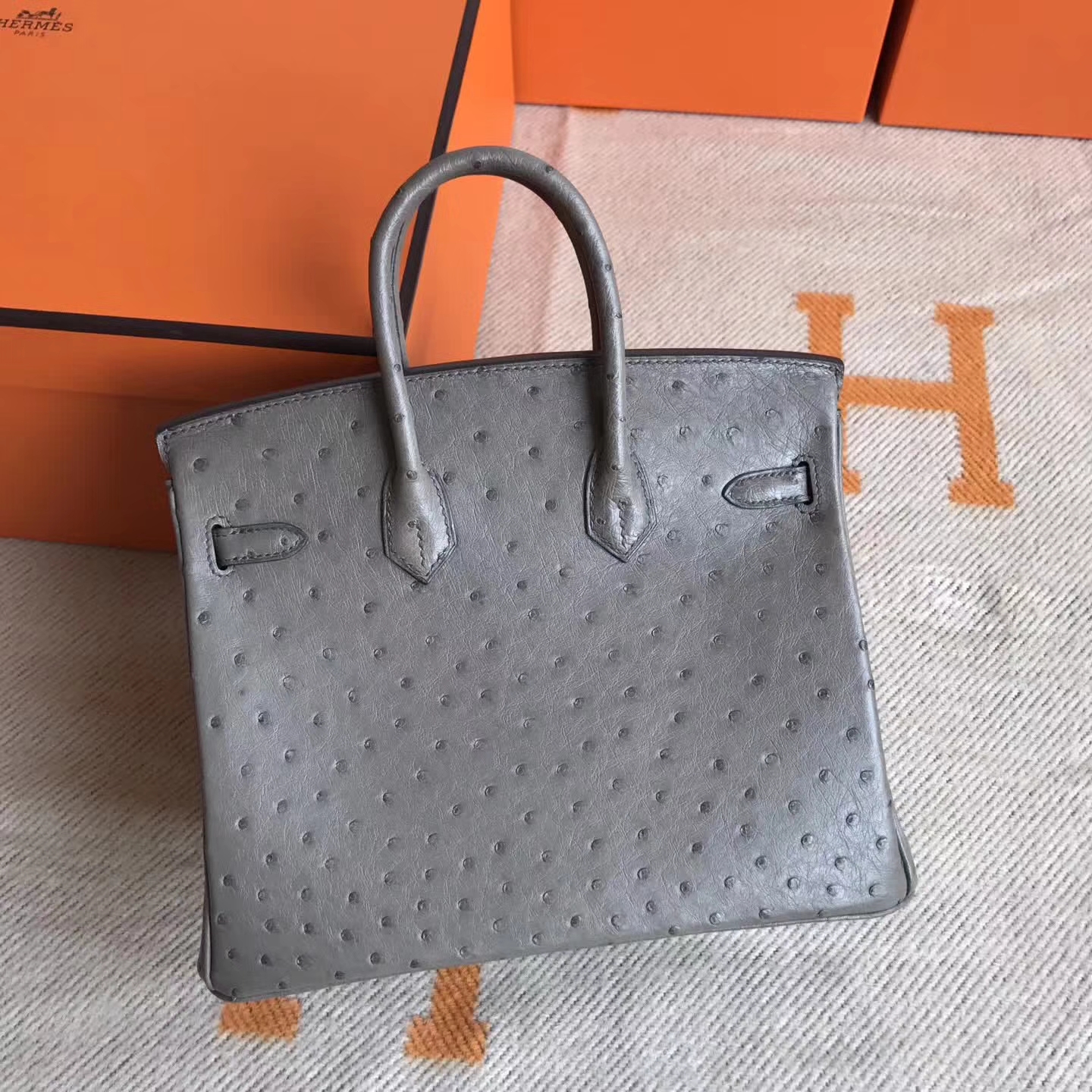 Discount Hermes Ostrich Leather Birkin Bag25cm in Mousse Grey Silver Hardware