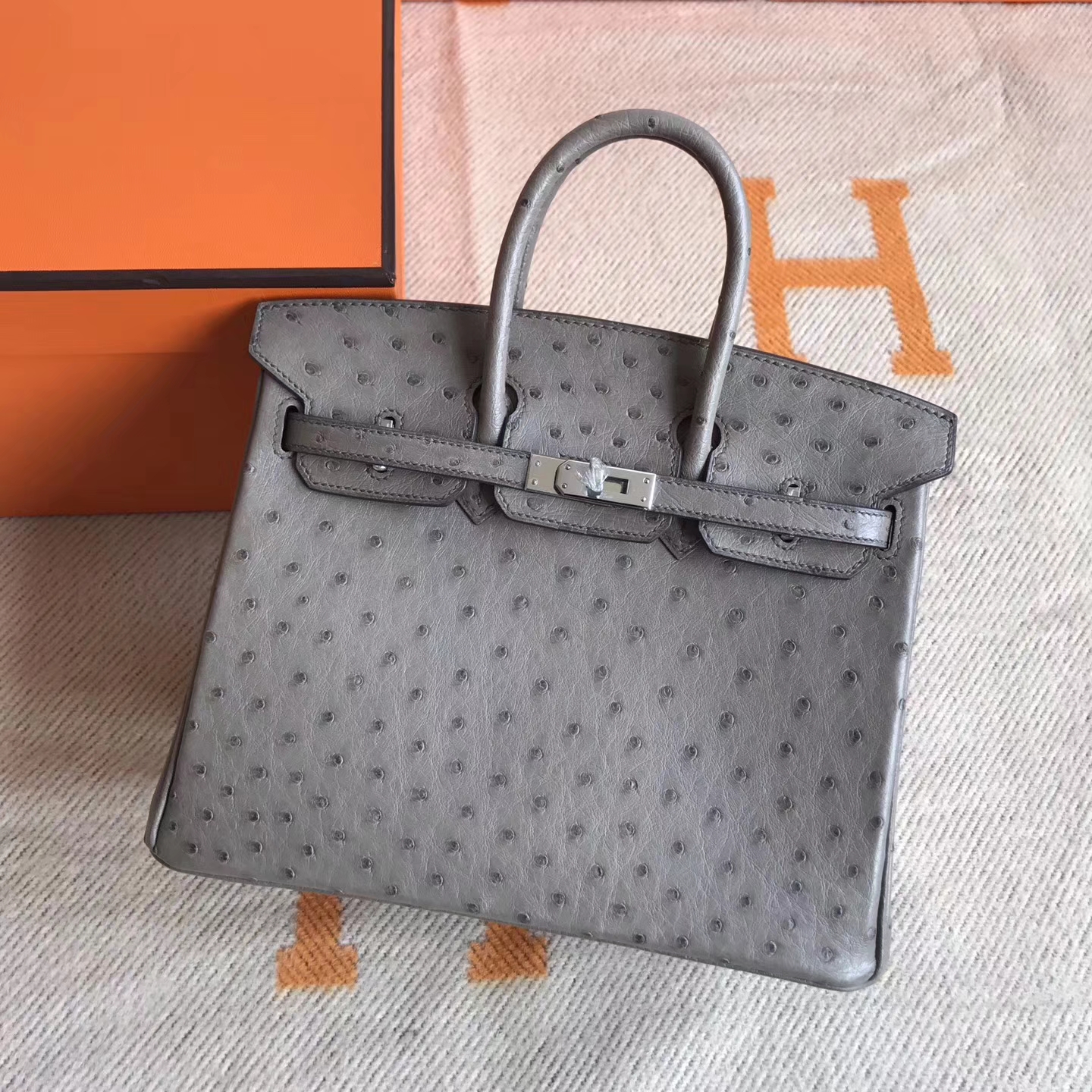 Discount Hermes Ostrich Leather Birkin Bag25cm in Mousse Grey Silver Hardware