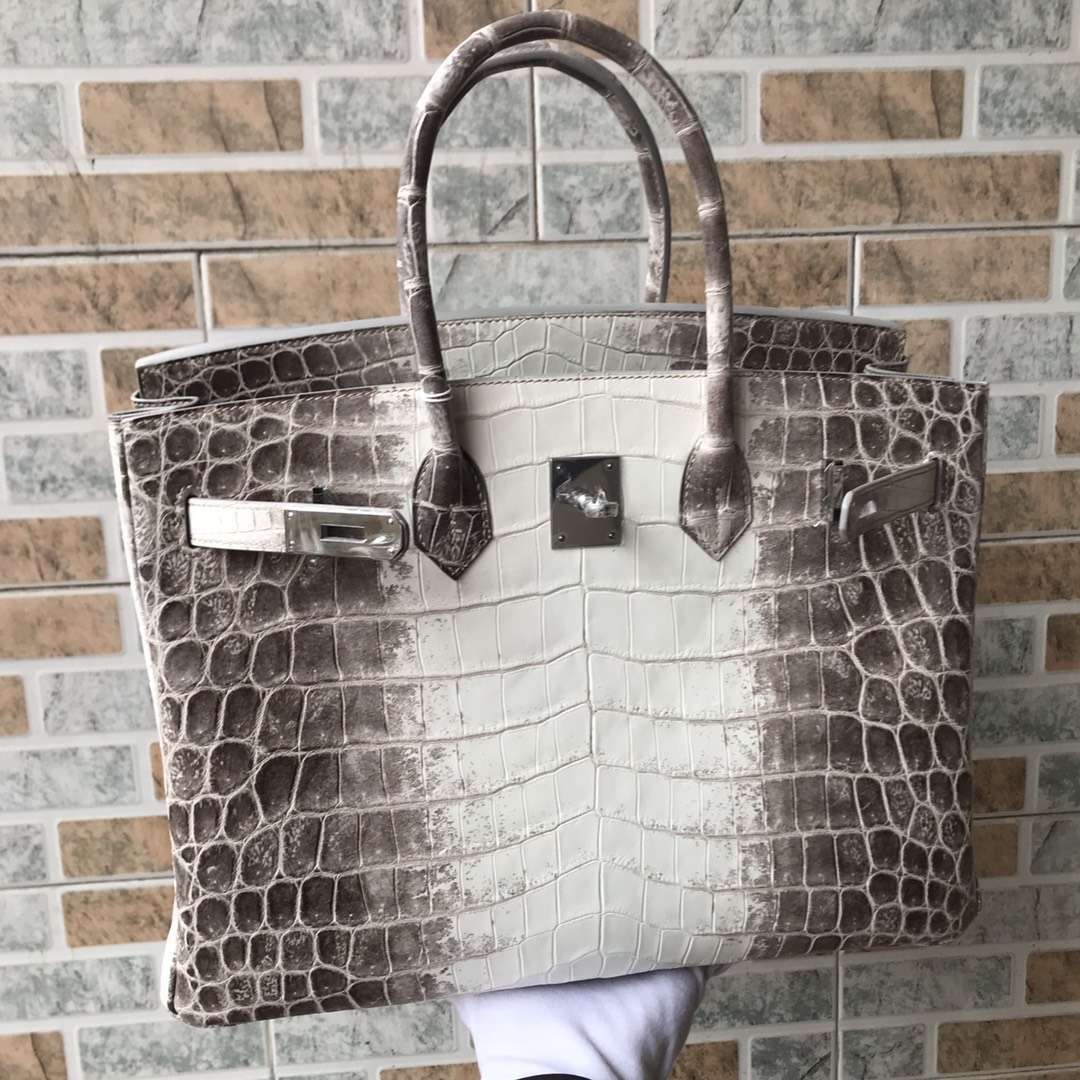 Noble Hermes Himalaya Crocodile Leather Birkin35CM Tote Bag Silver Hardware