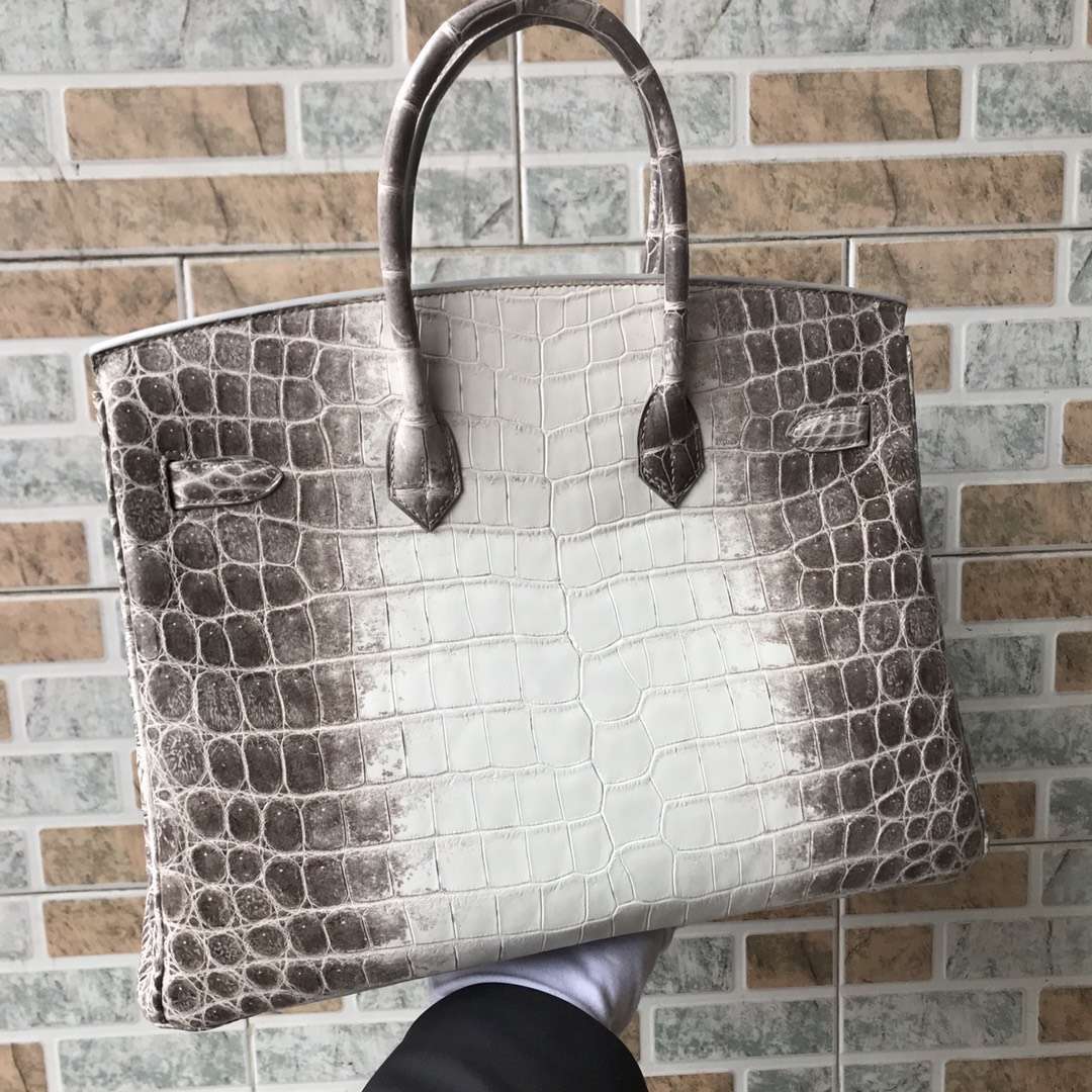 Noble Hermes Himalaya Crocodile Leather Birkin35CM Tote Bag Silver Hardware