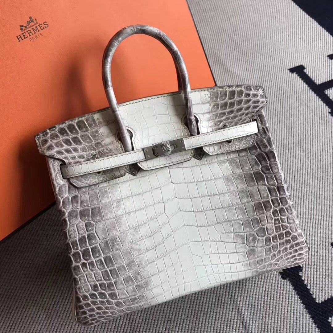 Luxury Hermes Himalaya Crocodile Leather Birkin Bag25cm Silver Hardware