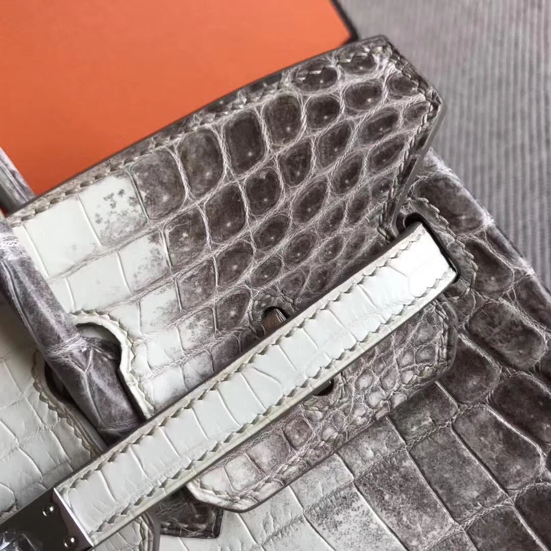 Luxury Hermes Himalaya Crocodile Leather Birkin Bag25cm Silver Hardware