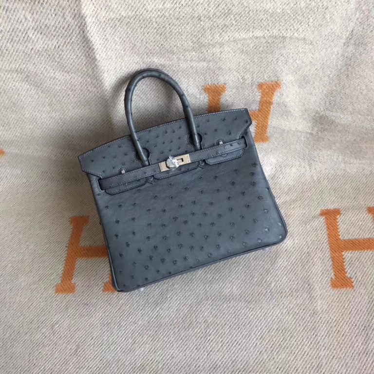 Hermes Ostrich Leather Birkin 25cm Tote Bag in 8F Etain Grey
