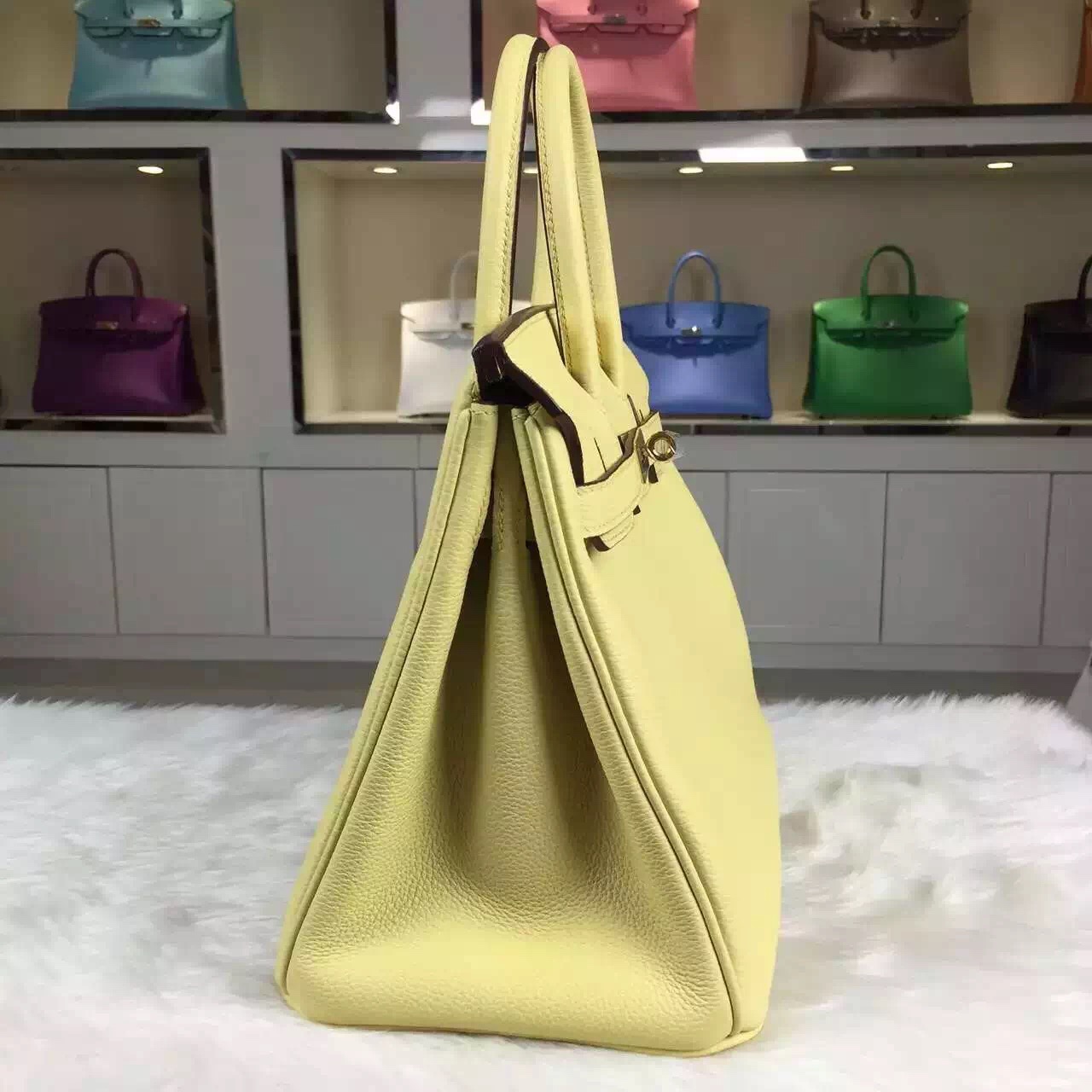 Luxury Hermes Birkin 30CM Togo Leather 1Z Jaine Poessin Gold Hardware