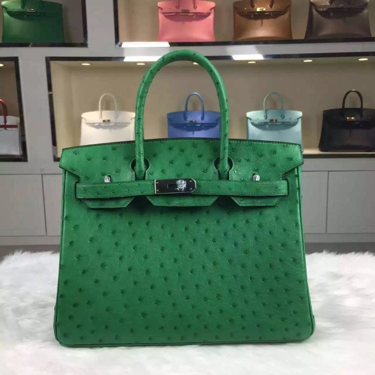 Online Shopping Hermes Ostrich Leather Birkin Bag  30CM in 1K Bamboo Green Ladies Tote