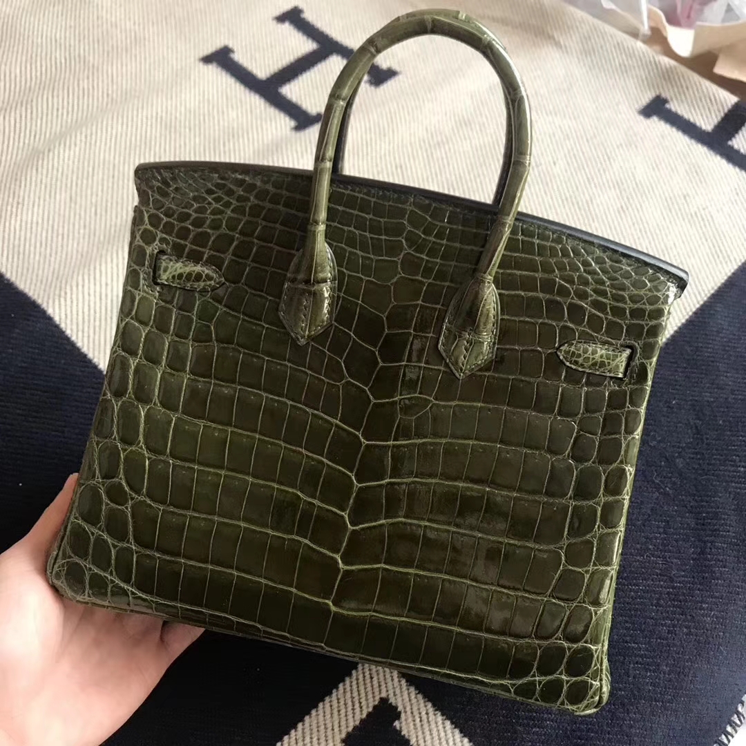 Fashion Hermes Crocodile Shiny Leather Birkin Bag25CM in V6 Canopee Gold Hardware