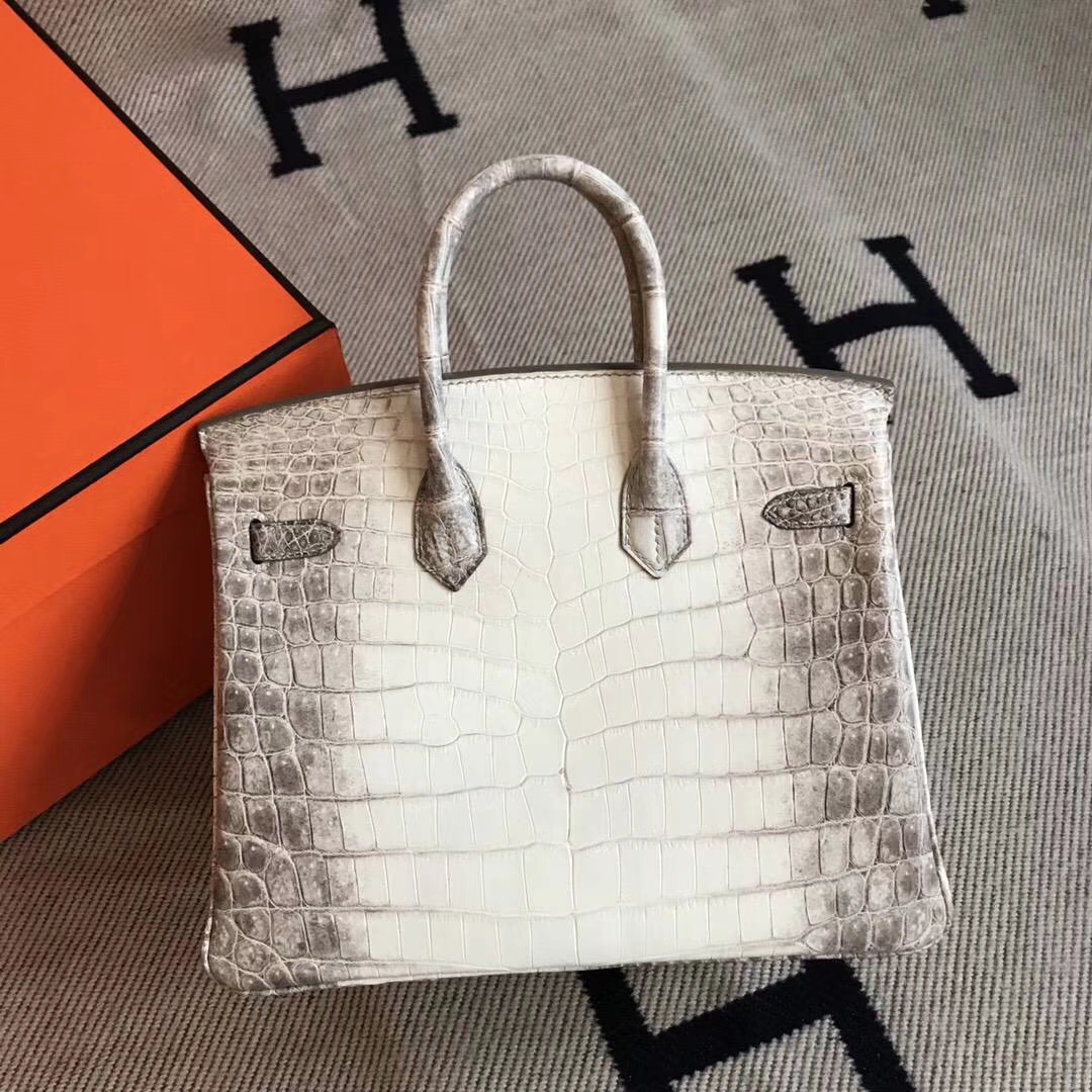 Elegant Hermes Himalaya Color Crocodile Leather Birkin25CM Silver Hardware